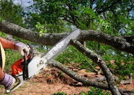 Best Lawn Grading and Leveling  in Santaquin, UT